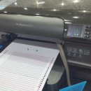 성모그린약국 이미지