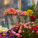 힐링 플라워 꽃꽂이 이미지