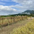 (주)자연농 이미지