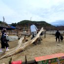 양평양떼목장 이미지