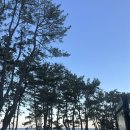 동천강주유소 이미지