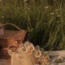 화이트오 이미지