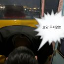 월미농장 이미지