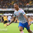 그린우드 이미지