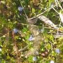 별빛곳간 이미지