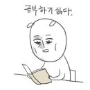 멍멍대학 이미지