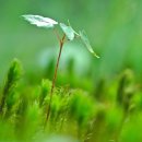 창문여자중학교 이미지