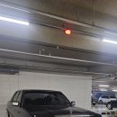 다니엘 와썹 벧엘바라기 힝구 님 이미지