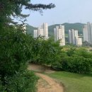 신안드림공인중개사사무소 이미지