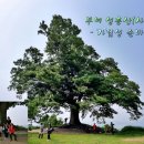 성흥산 솔바람길 이미지