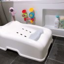 버드시아 이미지