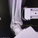 스테이묘정 | 4월은 파이팅해야지…