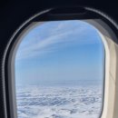 푸른숲세탁소 | WFK KOICA NGO 봉사단_몽골 1개월차 활동 마무리