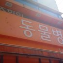 조항일동물병원 이미지