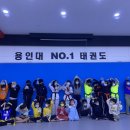 용인대호반태권도 이미지