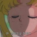 뜨란풍경 이미지