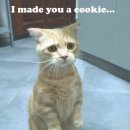 나도나도 이미지