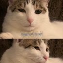 해원한의원 | 7/21-7/27 일상