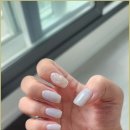 샵오늘 네이버블로그
