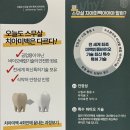 오늘도스무살 이미지