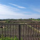 제주베아툼 이미지