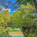 단양안내소 이미지