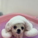 반자주 엘시티점 이미지