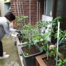 만복경로당 이미지