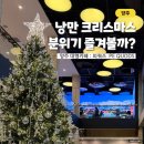 옥정목장 | 양주 크리스마스 카페 커다란 트리 낭만 분위기 즐겨볼까?