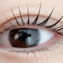 수디자인스튜디오 이미지