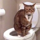 미래항맥외과의원 이미지