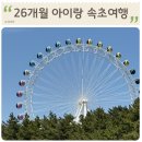 아이랑 속초여행 코스 ( 88생선구이 속초중앙시장 맛집 속초중앙닭강정 속초횟집 속초대관람차 )