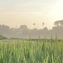 육하원칙 이미지