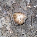 고은농장 이미지