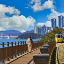 블루라인 이미지