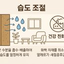 흙집사랑 이미지