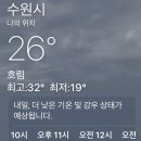 버드내 약국 네이버블로그