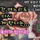 장미집 이미지