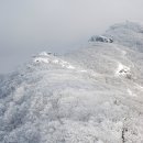 2018년 1월 21일 (일) 전북 진안 운장산(1,126m) 번개산행 이미지