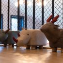 태안 요요키즈풀빌라 캠핑펜션 이미지