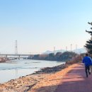 중마교