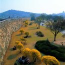 수원-1792 이미지