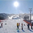 꽃잎펜션 이미지