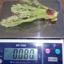 황토 농장 이미지