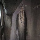 성훈빌딩 이미지