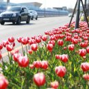 [도로]서둔교차로 이미지