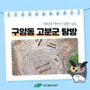 대구구암동고분군 팔거산성 탐방안내소 이미지