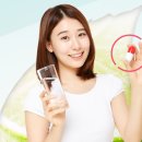 선분농장 이미지