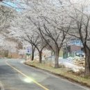 보현산천문대민박 이미지