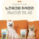 크로커다일 | 강아지간식 추천 개님의껌 치킨필링 터틀&amp;크로커다일 리얼후기